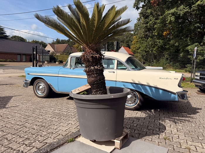 1956 Chevrolet Bel Air 