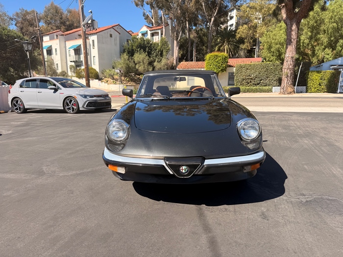 1983 Alfa Romeo Spider
