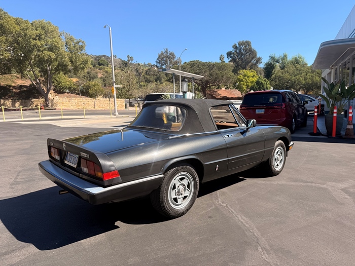 1983 Alfa Romeo Spider