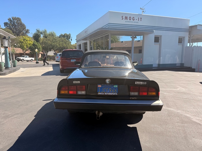 1983 Alfa Romeo Spider